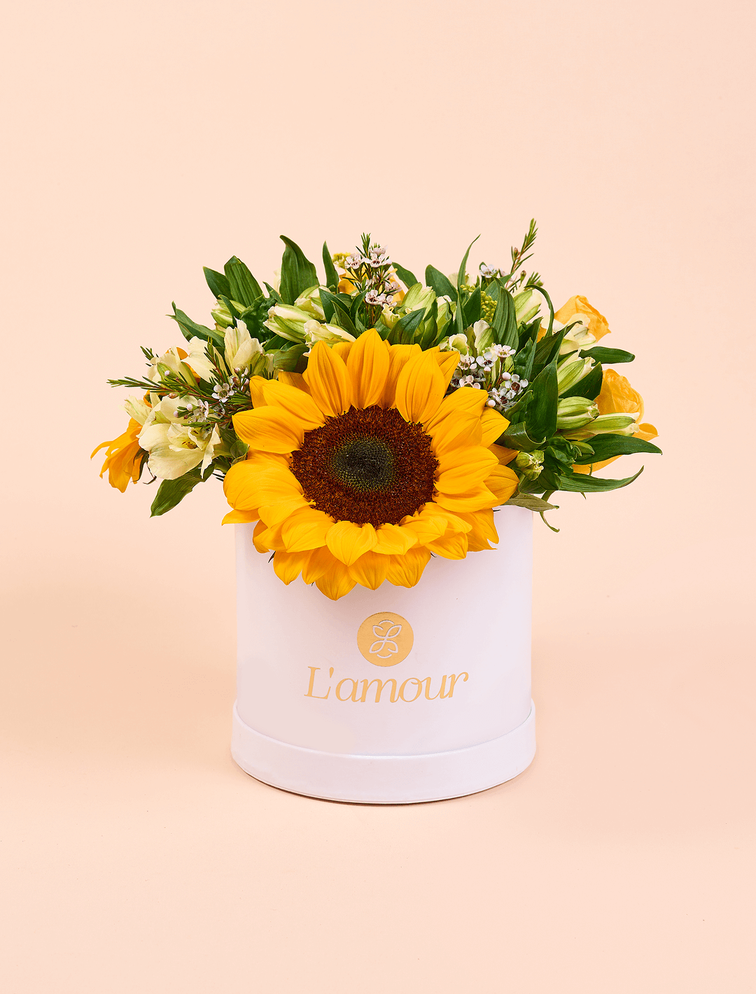 Box de Girasoles