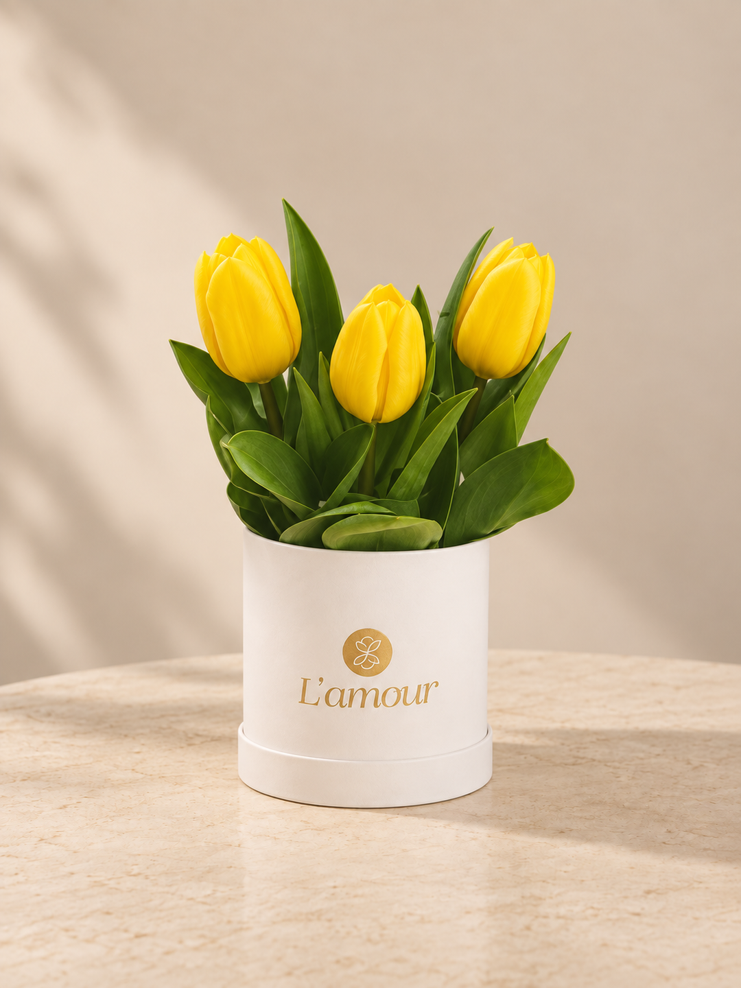 Box mini 3 tulipanes amarillos