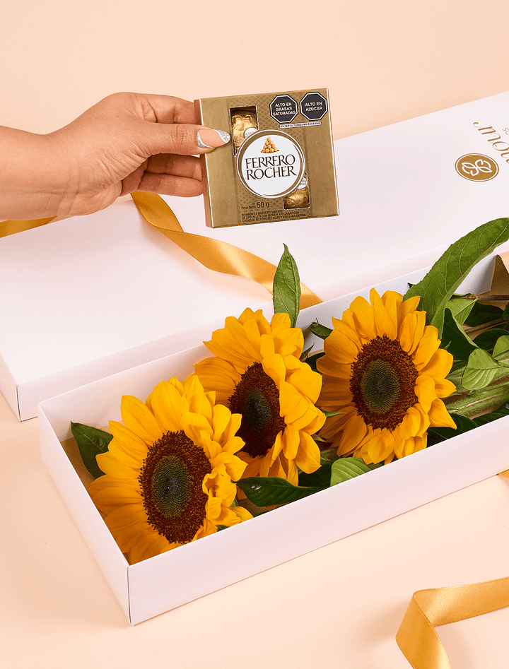 Caja 3 Girasoles y Caja de Chocolates