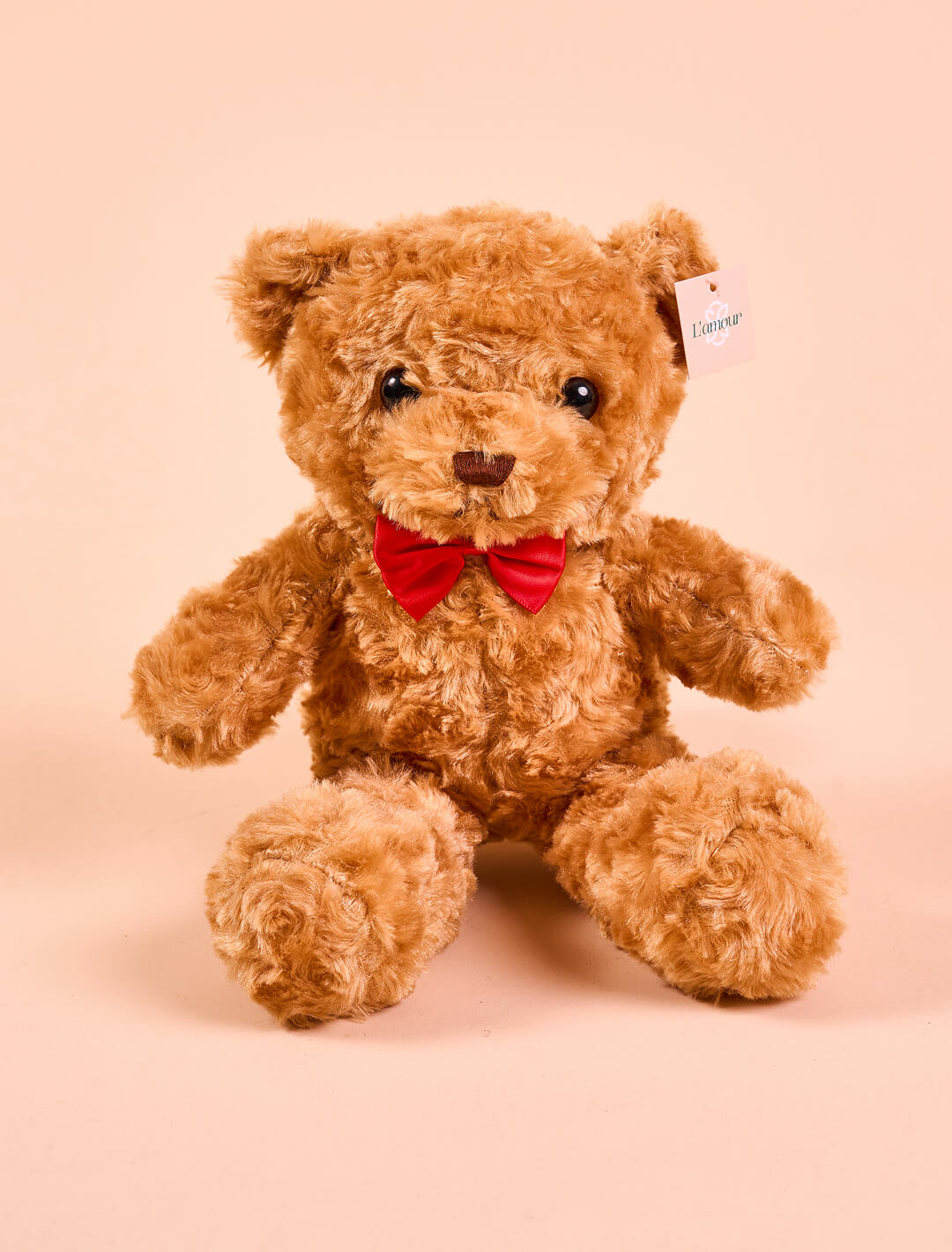 Oso de Peluche: Dulce compañero