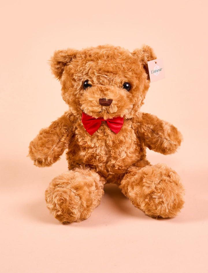 Oso de Peluche: Dulce compañero