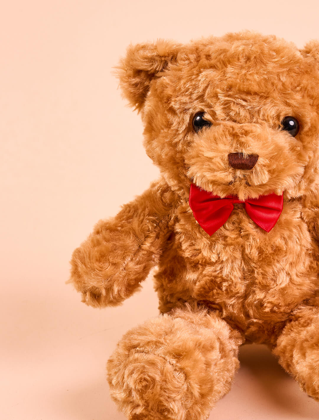 Oso de Peluche: Dulce compañero