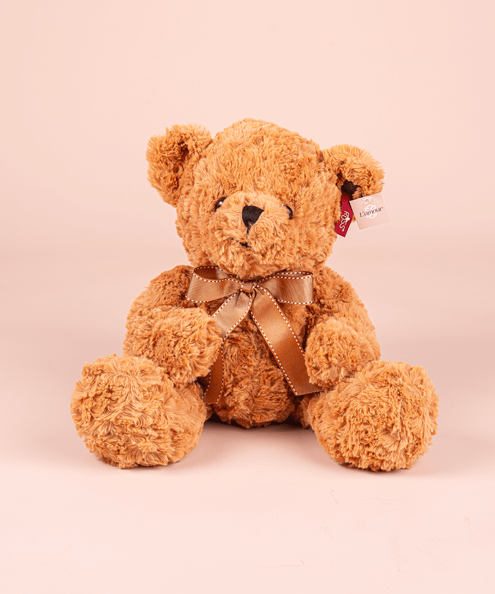 Peluche Oso Teddy