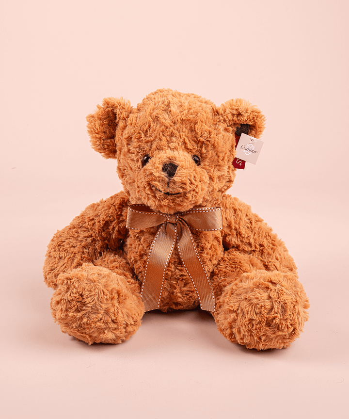 Peluche Oso Teddy